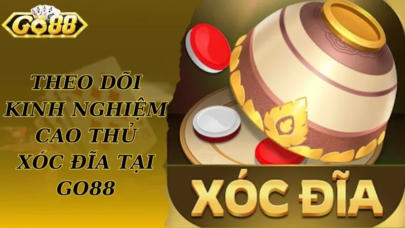 Theo dõi kinh nghiệm từ cao thủ Xóc Đĩa tại Go88 nhanh chóng